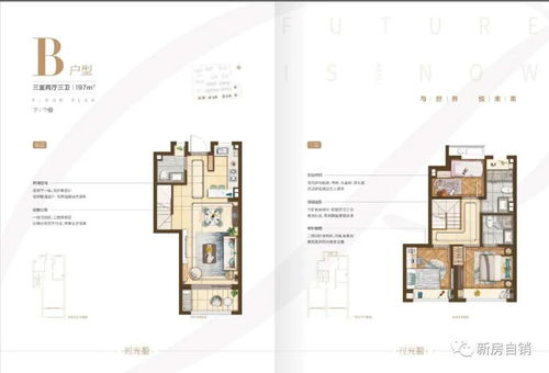 上海 樓盤詳情 上海 歡迎您 官方網站