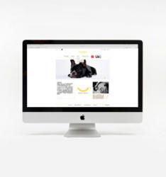 azong moko 寵物食品網(wǎng)站設(shè)計