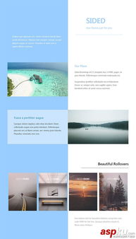 藍色跟白色兩列布局網(wǎng)站模板