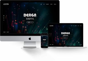 包裝行業網站建設 樂品官網建設 禮品行業網站開發 上海網站建設公司 邁若網絡網站設計案例