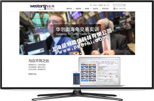 青浦網站制作 青浦做網站公司 青浦網站設計公司 青浦網站建設