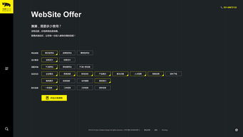 上海犀躍設計公司品牌形象網站建設