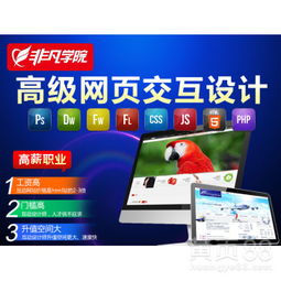 【上海網站開發培訓,網頁設計培訓】-