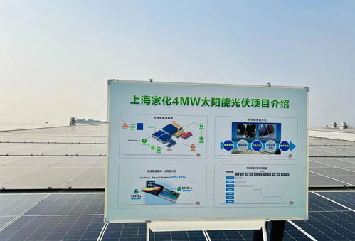 點亮綠色未來 上海家化跨越工廠正式啟用太陽能光伏發電