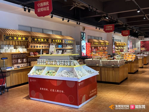 美味生活 東莞造 50余家莞企匯聚上海網(wǎng)頁(yè)開發(fā)展，共抓商機(jī)促發(fā)展